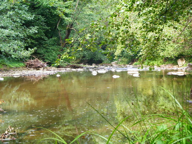 DSCF5049