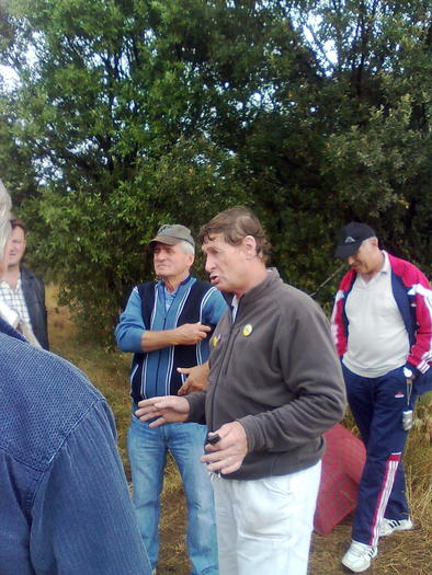 Imagine1391 - ApiMondia