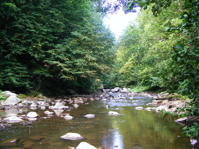 DSCF5058