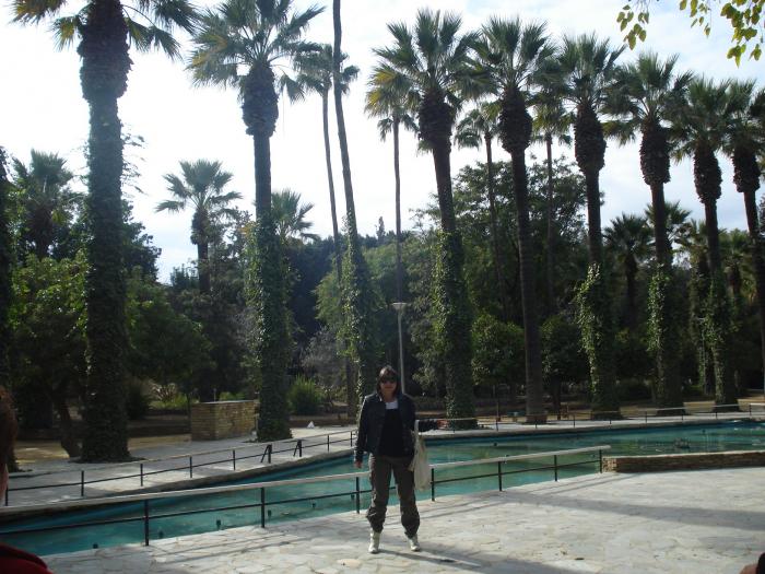 Picture 255; Nicosia de Sud
