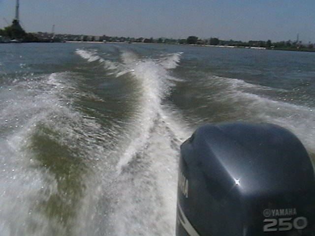 IMGA0778