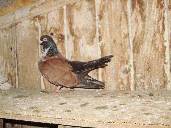 P9061582
