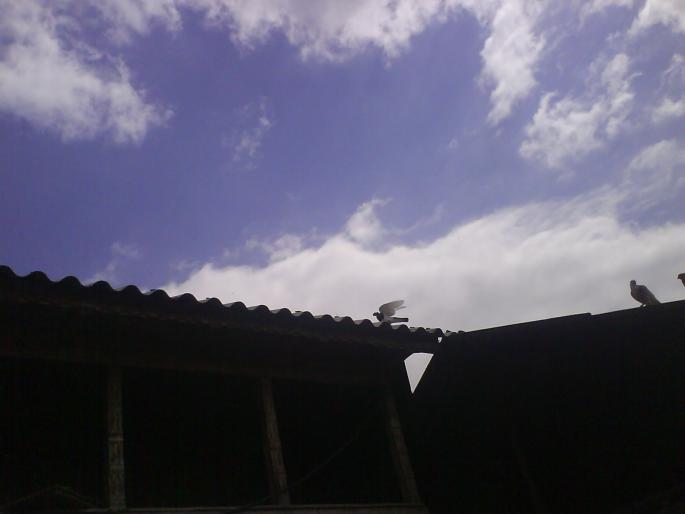 la un pahar de vorba cu uliu