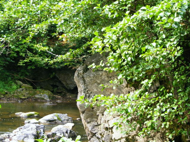 DSCF5047
