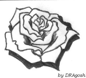 trandafir2 - Imagini cu tatuaje