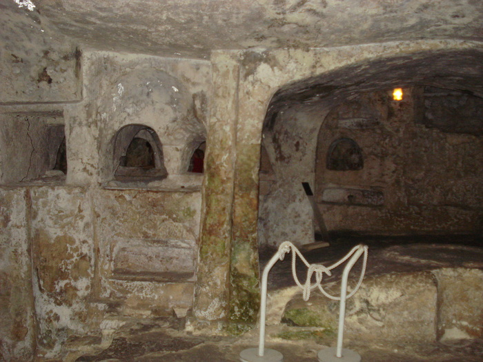 DSC04480