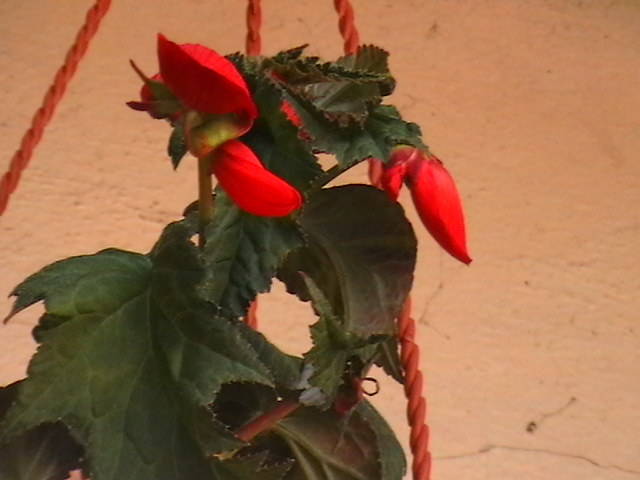 Picture 020
