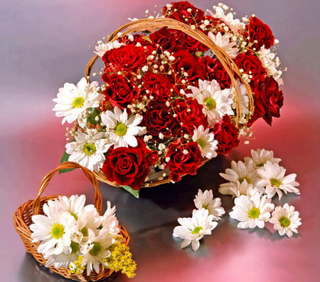 felicitare-1