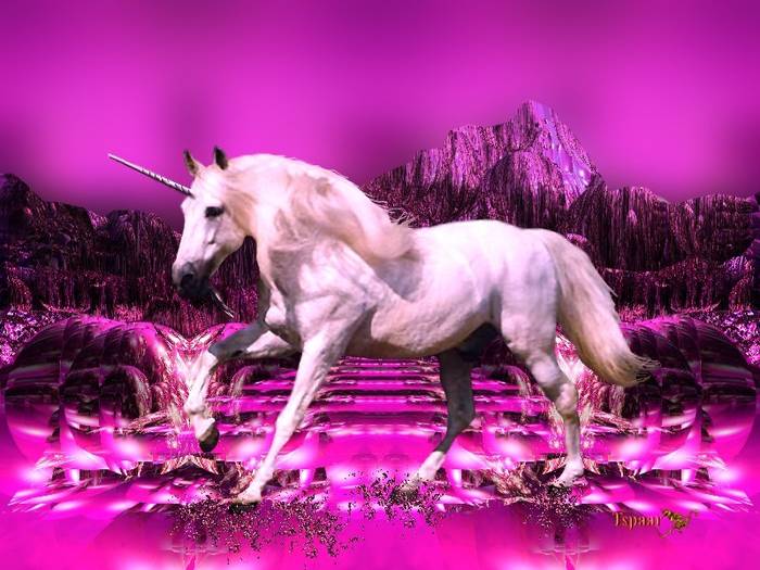 unicorn089 - cateva poze cu animale