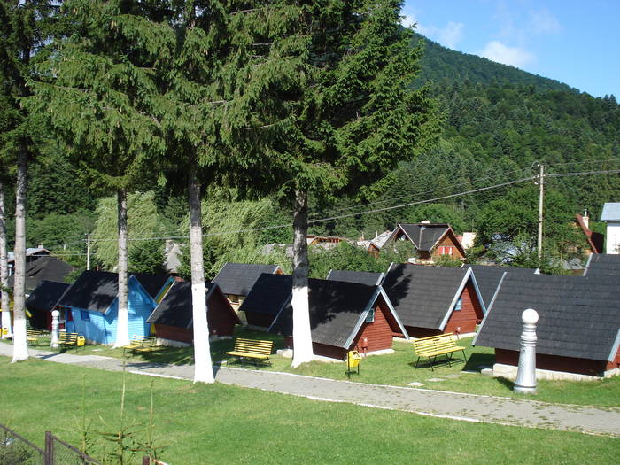 DSC03726 - 2009 CHEIA IULIE