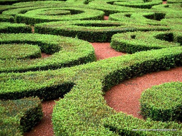 Wallpapers - Nature 9 - Garden_Maze,_Orlando,_Florida