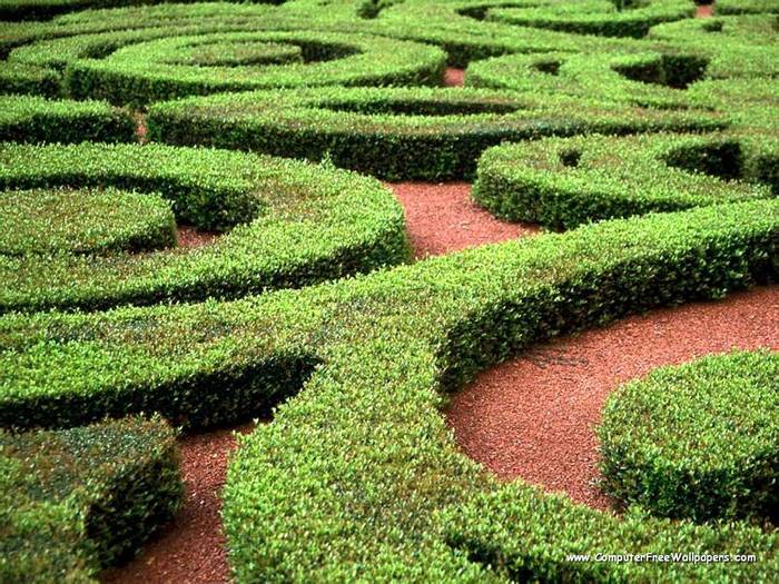 Wallpapers - Nature 9 - Garden_Maze,_Orlando,_Florida - Very Beautiful Nature Scenes