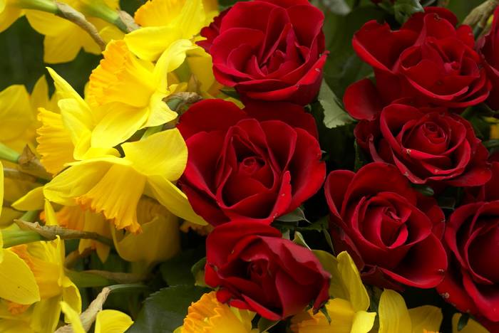 R1 - Roses red and yellow narcissus bouquet
