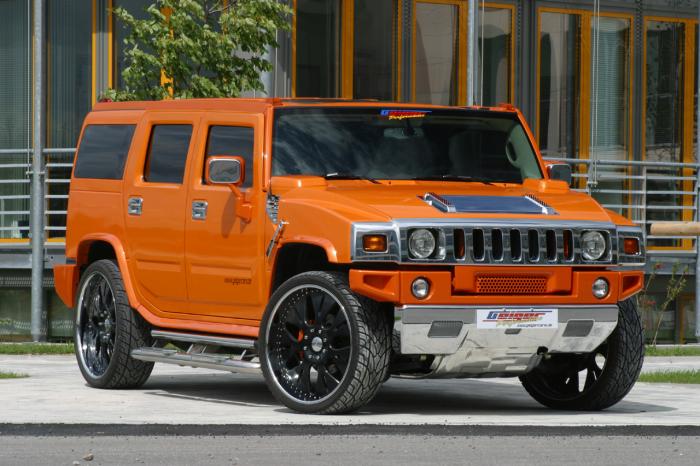 hummer_de06