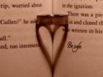 twilight - Twilight 13