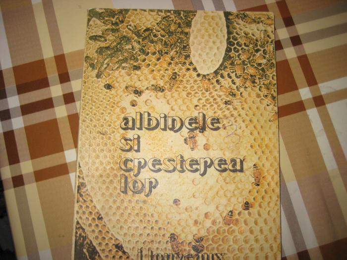 Albinele si cresterea lor
