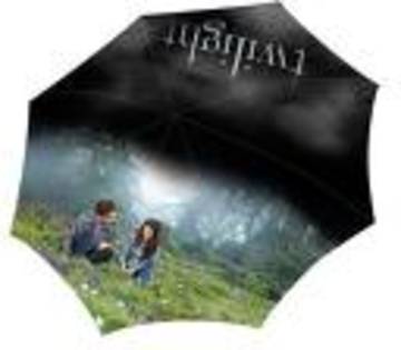 twilight - Twilight 13