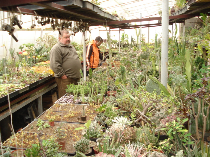 DSC04941 - Colectionari