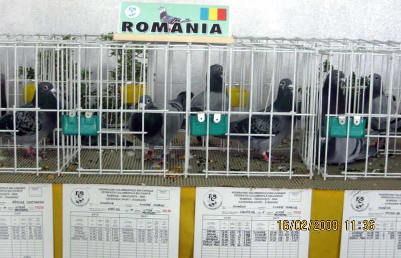 o parte din lotul UCPR,prezent la Balcaniada.Targoviste 17 feb 2008 - momentul adevarului
