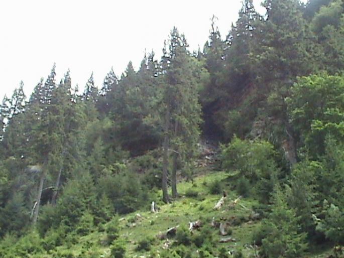 DSC00762 - Excursie in muntii Fagaras 2008