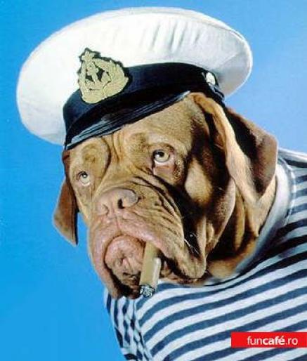 1924_captaindoggy