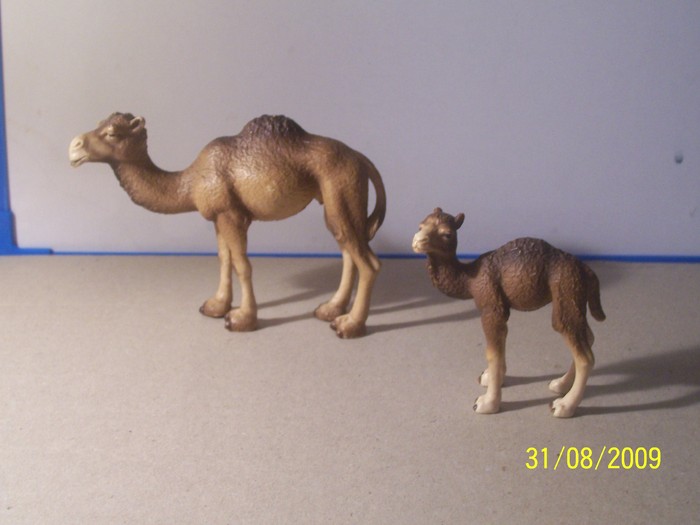 dromaderi - animale SCHLEICH