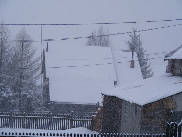 ninge tare - Sfarsitul anului 2009