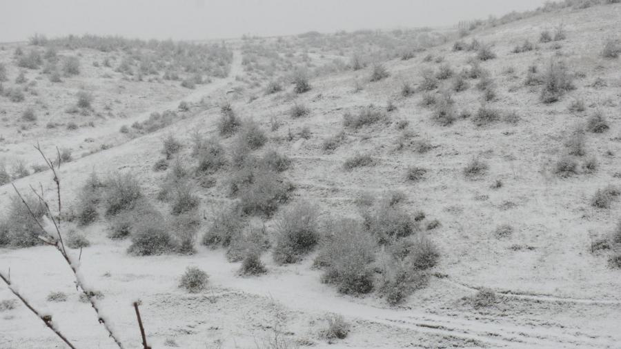 Prima iarna 2007 (01)