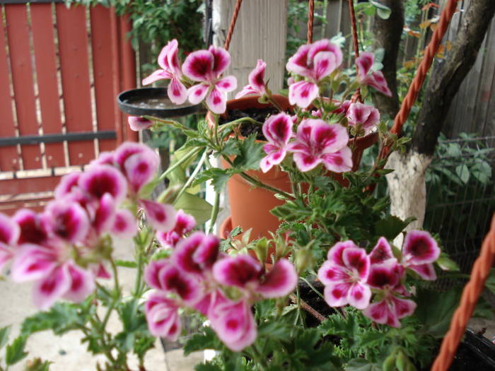 DSC09359