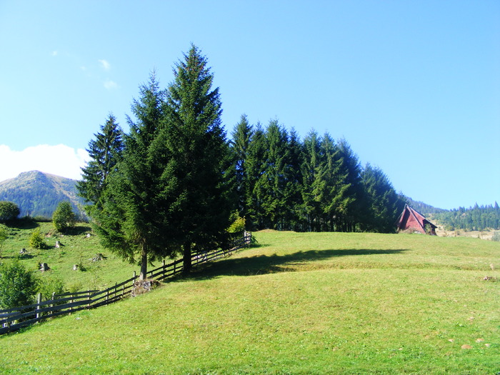 DSCF6263 - muntii Rodnei