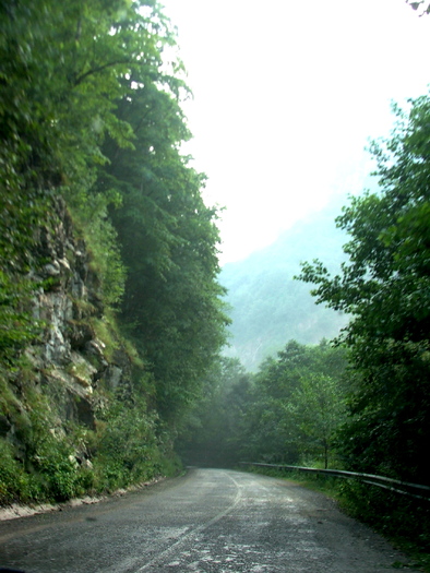 DSCF4935 - Valea Cernei