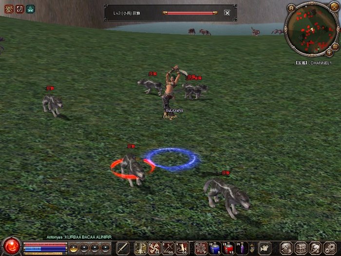 1214_113253 - metin 35 pserver poze noi