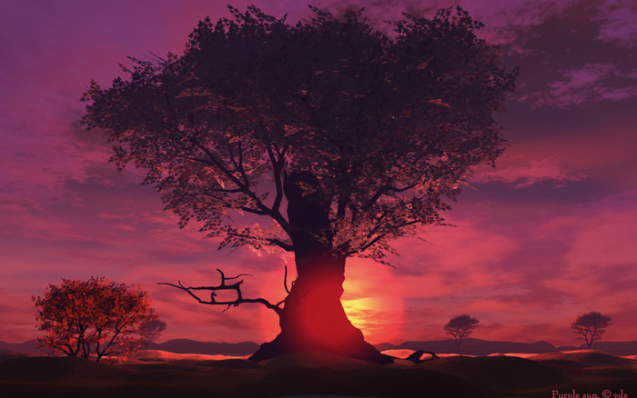 purple_sun1