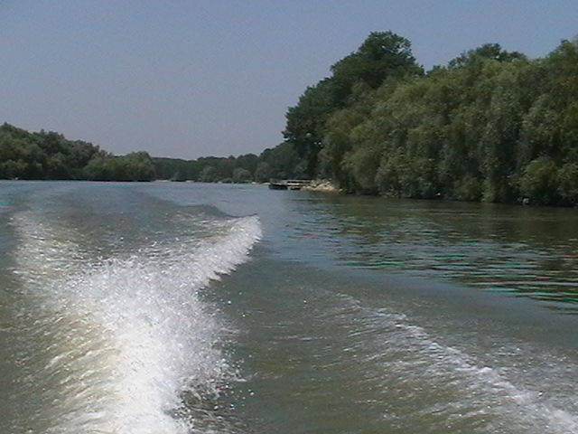 IMGA0790 - In Delta Dunarii- Mila 23-iunie 2009