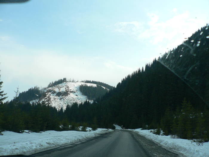 P1040596