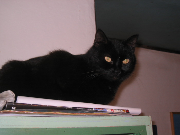 23 dec 2007 055