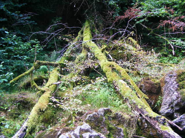 DSCF5189