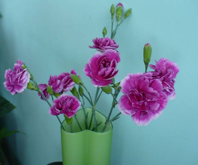 P1130907 - flori diverse