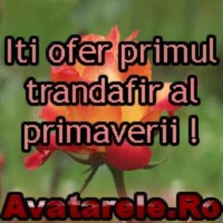 49 - poze avatar primavara