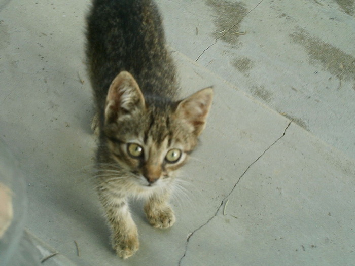 IMAG0008