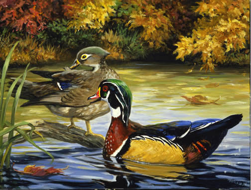 Wood Ducks Wraparound Design 1_jpg