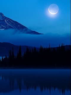 013345610 - Mobile Wallpapers