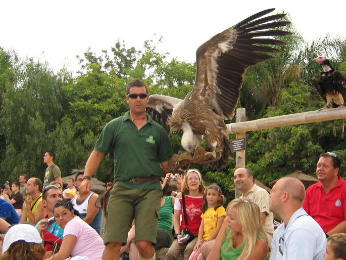 Tenerife 11 aug 2006 Jungle Park show16 - Tenerife 2006