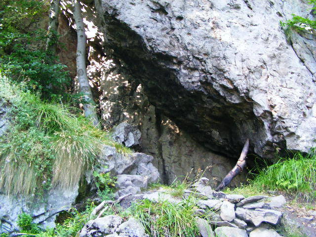 DSCF4508