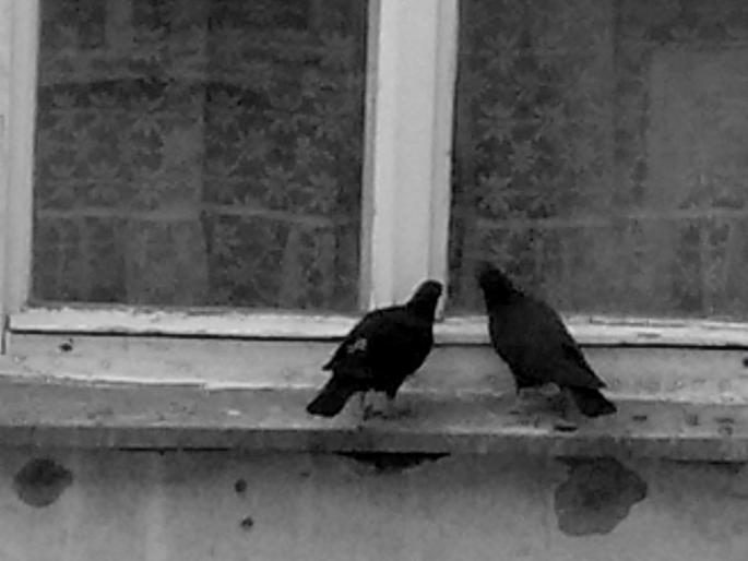 Copy of 21052008268 - 18a Constanta 1