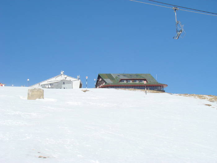 DSC01135 - Bucegi - Valea Izvorul Dorului-Padina