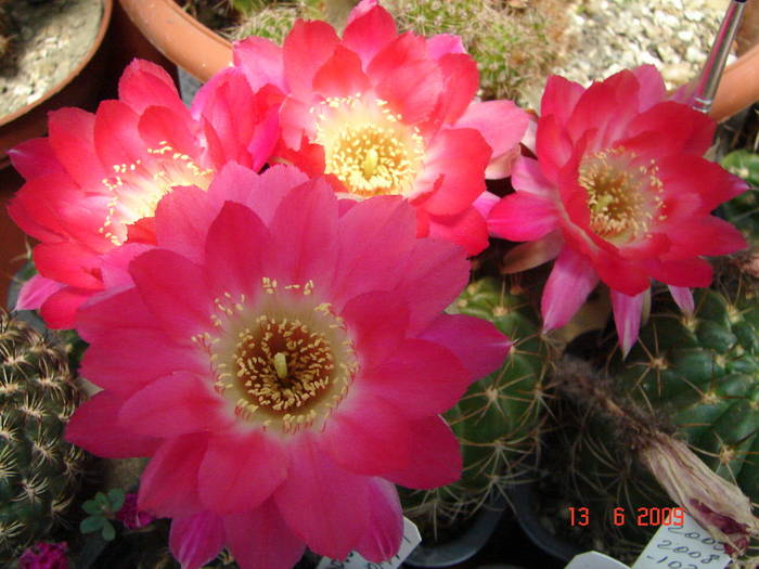 DSC06126