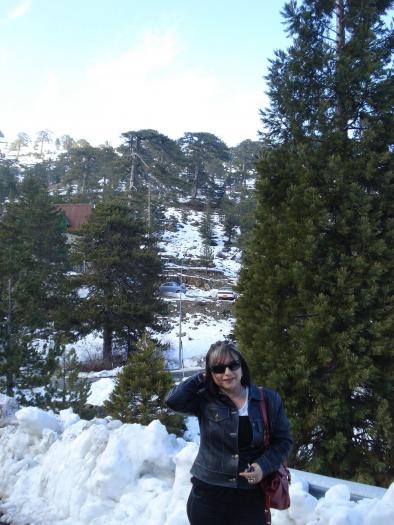 Picture 703; Muntii Troodos
