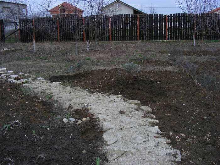 2009_02060028 - Amenajare gradina 2009