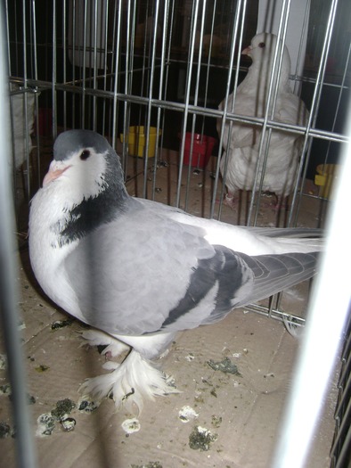 DSC08103